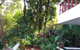 Casa De Olga